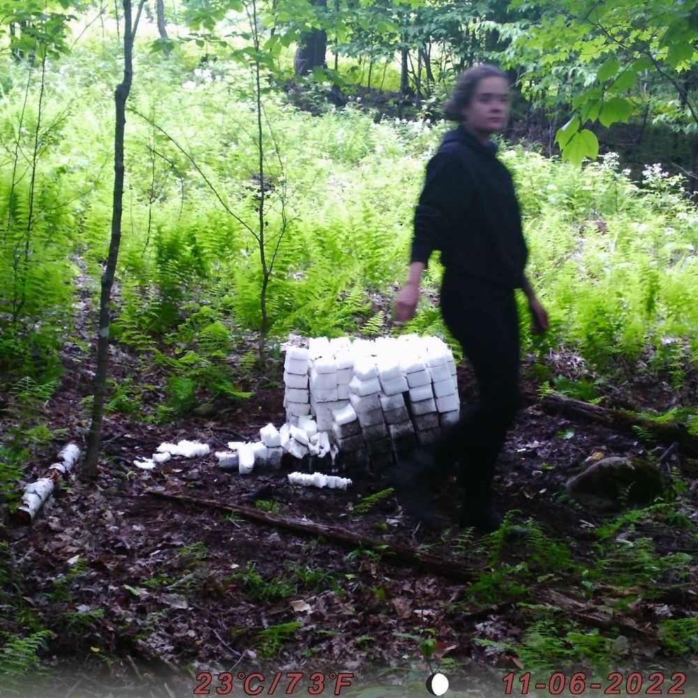 Meet your Posher, Béatrice